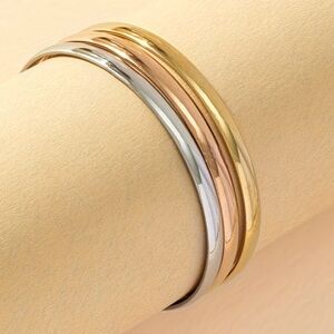 18 KT Gold Over Titanium Bangle Set